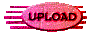 013v201i.gif