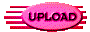 013v202e.gif