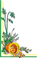 000803_1080_5903_vuvv.wmf
