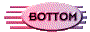 01312021.gif