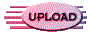 013v2021.gif