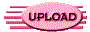 013v202x.gif