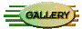 013a2019.gif