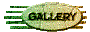 013a201p.gif
