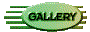 013a2025.gif