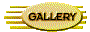 013a202n.gif