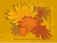 000803_1080_3868_vuvv.wmf