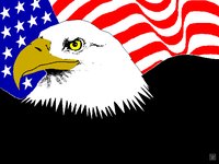 EAGLEUSA.GIF
