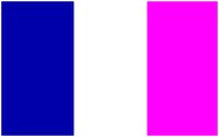 FLAGFR.GIF