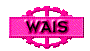 00il2008.gif