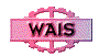 00il2021.gif