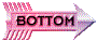 00jl2021.gif