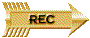 00k52033.gif