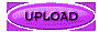 00lt2004.gif