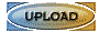00lt200y.gif