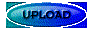 00lt2010.gif