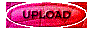 00lt201i.gif