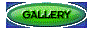 00l8202g.gif