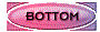 00kz2021.gif