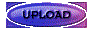 00lt2023.gif