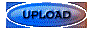 00lt2024.gif