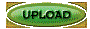 00lt202l.gif