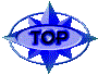 00n62029.gif