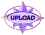 00n7202i.gif