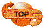 00ok200g.gif
