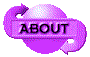 00nm2004.gif