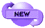 00oy2005.gif