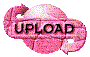 00ol200n.gif