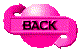00nq2008.gif