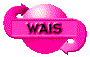 00o52008.gif
