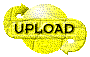 00ol200r.gif