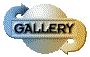 00o0200y.gif