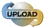 00ol200y.gif