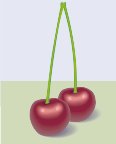 000803_1074_3401_vuvv.wmf