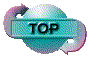 00ok202b.gif