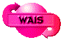 00o5201y.gif