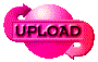 00ol201y.gif