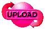 00ol202e.gif