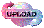 00ol2015.gif