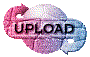00ol201l.gif