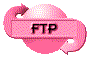 00ny203d.gif