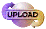 00ol2016.gif