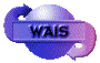 00o52023.gif