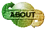 00nm201p.gif