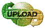 00ol201p.gif