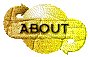 00nm201r.gif